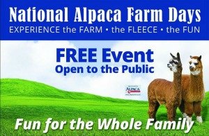 alpaca farms
